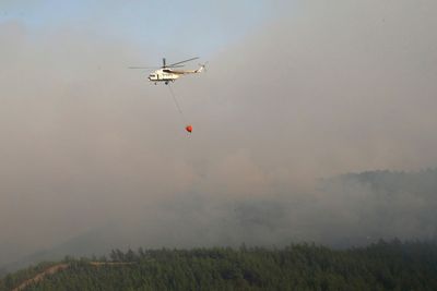 Turkey wildfire largely under control, Erdogan says