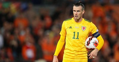 Cardiff City transfer news including the Gareth Bale situation as things stand as Bothroyd says it's the perfect fit