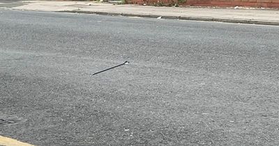 Street 'full of pensioners' rocked as crossbow 'fired from window'