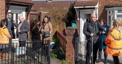 People 'scared to go out' as streets plagued by rats 'as big as cats'