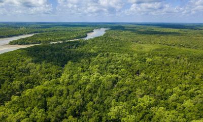 Banks and UK supermarkets accused of backing deforestation in Brazil