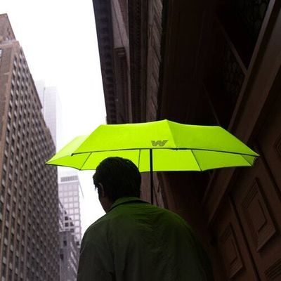 This $70 umbrella will stop the endless cycle of replacements