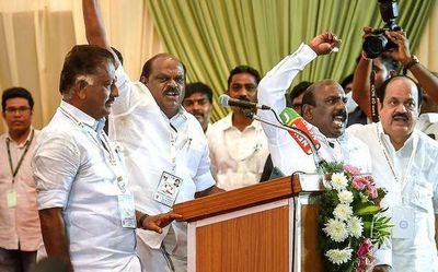 Panneerselvam has not approached Election Commission, says Vaithilingam