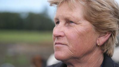 'Ongoing disaster' for dairy industry as wet weather hampers flood recovery