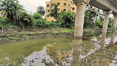 Kolkata: Rail Vikas Nigam Limited starts restoring water body in Patuli after Metro construction