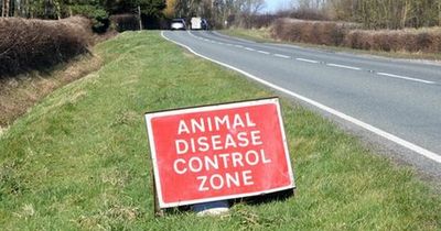 Government map shows all the bird flu control zones in Nottinghamshire