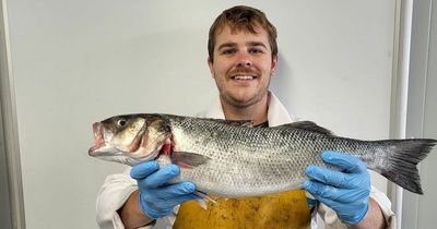 Elton John so impressed by Bristol fishmonger he has been enlisted for gigs