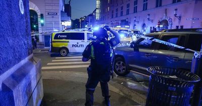 Man arrested after shooting in central Oslo which left two dead