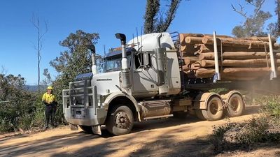 Forestry Corporation of NSW fined for breaching a post-bushfire logging condition