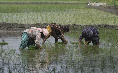 Top news developments in Karnataka on June 25, 2022