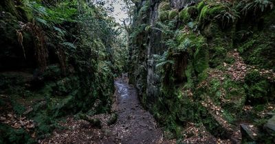 The magical Derbyshire gorge walk which feels like somewhere from a fairy tale