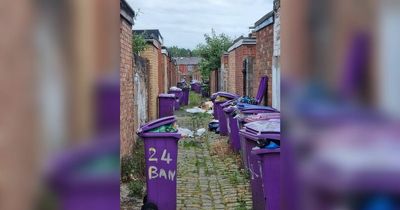 Family forced to move by 'rotten' smell outside home