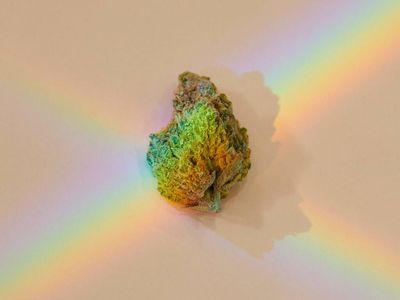 The Weed Strains That Made 420
