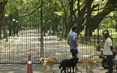 Pets to be banned in Cubbon Park from July 1