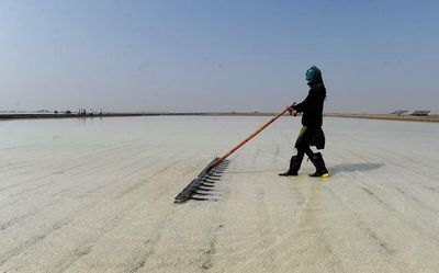 Crisis in salt sector hits 5 lakh people in Gujarat