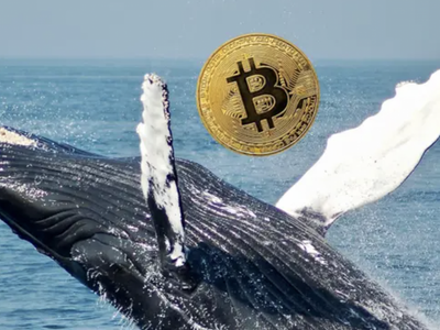 Here's How Much The Richest Bitcoin Whale Now Holds