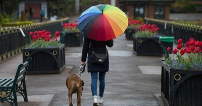 Sun, downpours, hail, thunder and lightning... the crazy weather Wales experienced in just a few hours