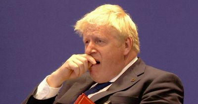 Boris Johnson eyeing up THIRD term that would keep him in power until 'mid-2030s'