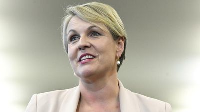 Plibersek hits global stage at ocean forum