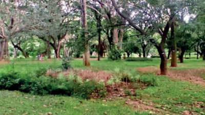 Pet ban at Bengaluru's Cubbon Park: Why punish all for fault of some?