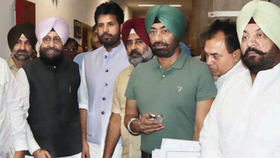 Chandigarh: Report on sand mining after budget