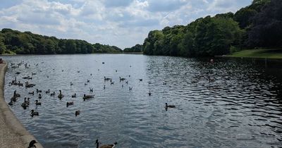 Roundhay Park in Leeds is 'perfect' and people return day after day to relax