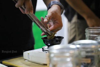 Majority worried by removal of marijuana from narcotics list: poll