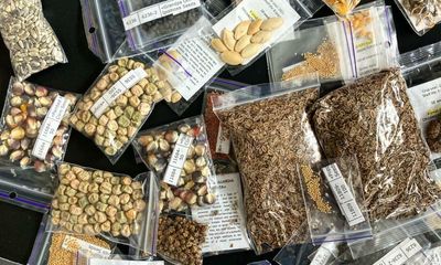A special delivery of seeds from Ukraine