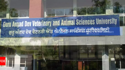 Training by Guru Angad Dev Veterinary and Animal Sciences University on backyard poultry
