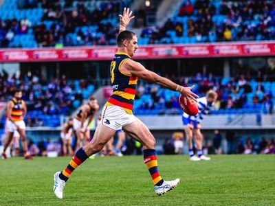 Crows cruise to AFL win over Kangaroos