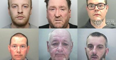 The faces and crimes of the deplorable rapists and sexual offenders who have been jailed in Wales this year