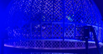 Edinburgh motorbike riders attempt hair-raising 'globe of death' stunt