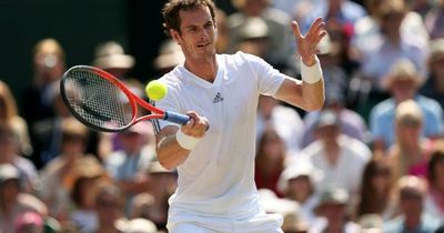 Andy Murray's Wimbledon comeback: Injury hell, return to form and retirement rumours