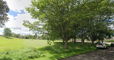 Edinburgh dog rushed to vets after ingesting poison in popular local park