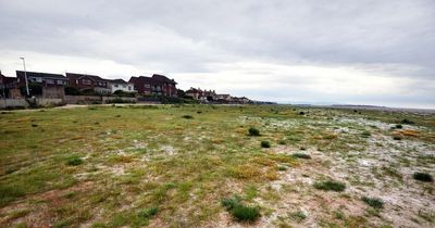 Controversial beach plan goes out for public consultation