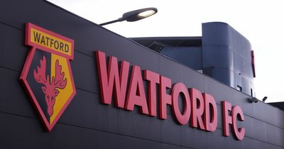 Watford come under fire from LGBT fan groups after agreeing to Qatar friendly