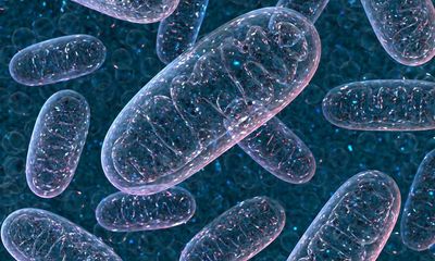 Can our mitochondria help to beat long Covid?