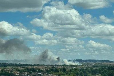 Neighbours flee homes after high winds whip up Norbury wildfire