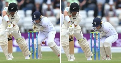 England fans react to crazy catch as Sam Billings clutches ball between his legs