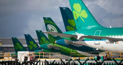 Aer Lingus cancels over a dozen flights to and from Dublin Airport on Sunday