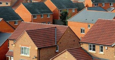 Provision of rented homes could be 'decimated' by Holyrood legislation