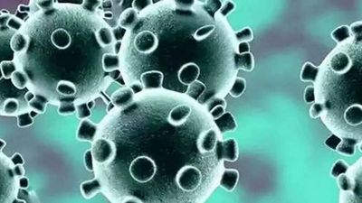 Lucknow: Aliganj and Chinhat report most Covid cases of past 15 days