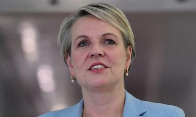 Tanya Plibersek declares environment ‘is back front and centre’ in Australia at UN ocean conference