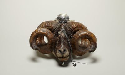 Macabre, biased and fascinating: why you should visit the Wellcome Collection