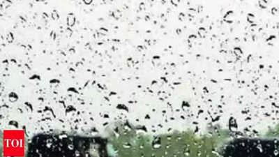 Karnataka: Rain deficit in Malnad worries ryots