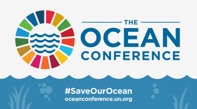 UN Oceans Conference Eyes Steps toward High Seas Agreement