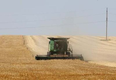 Convoy of ‘grain trains’ could stop Putin’s blockade of Black Sea ports