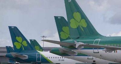 Aer Lingus apologises after Belfast passengers hit by flight cancellations