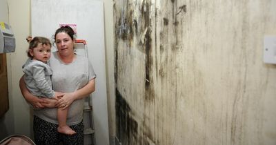 Renfrewshire Council set to tackle pregnant mum's damp-riddled house