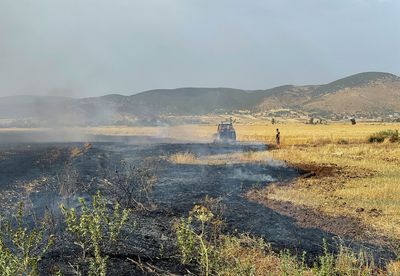 Heat wave and fires damaging Tunisia's grain harvest